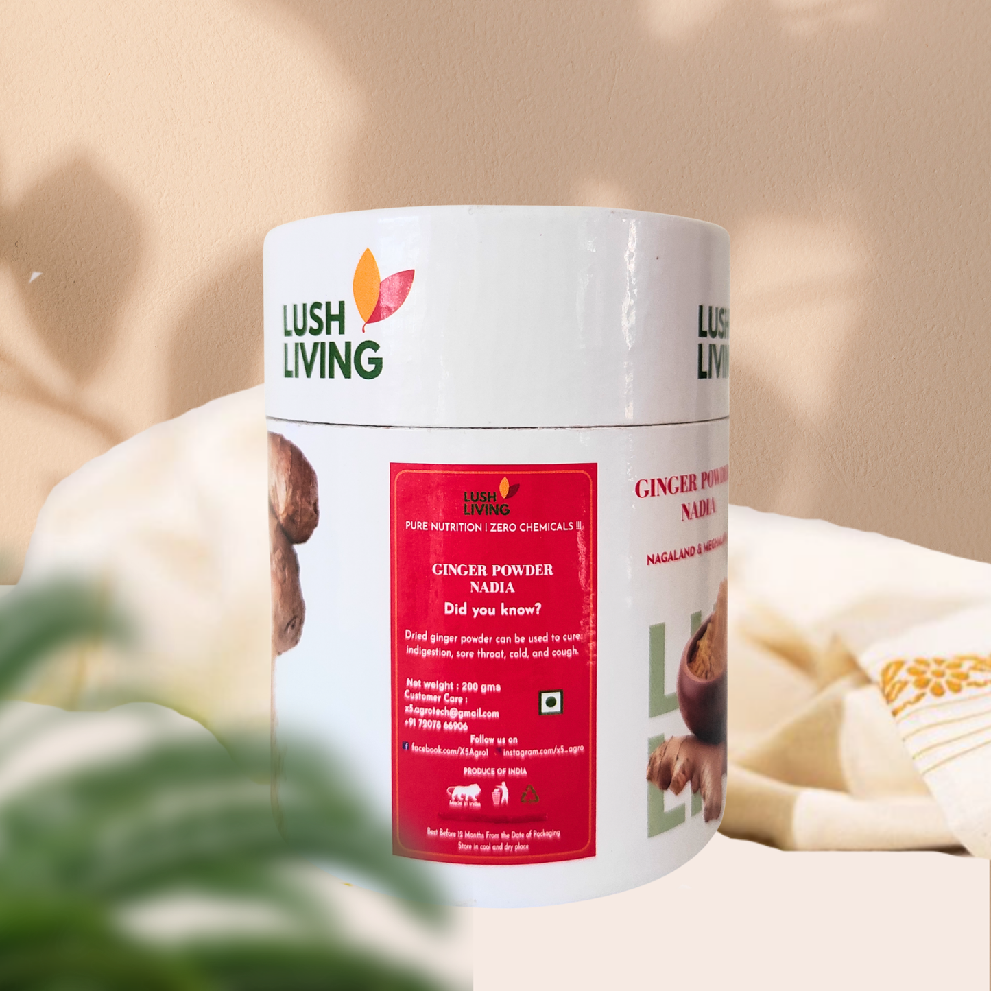 Ginger Powder 200gms