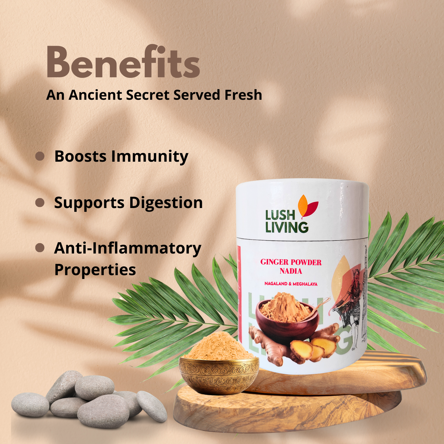 Ginger Powder 200gms