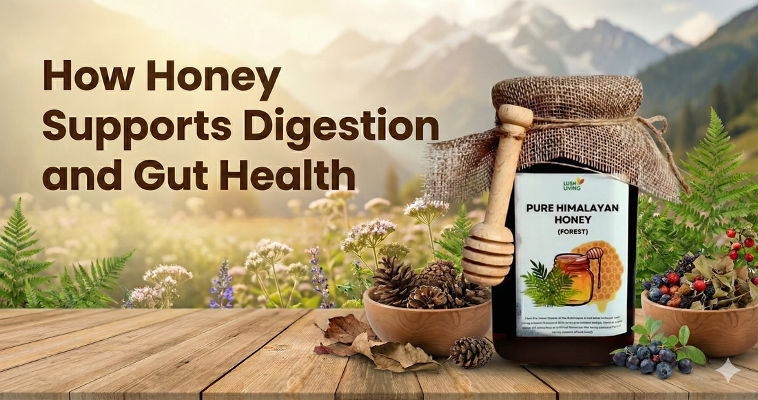 How Honey Supports Digestion and Gut Health