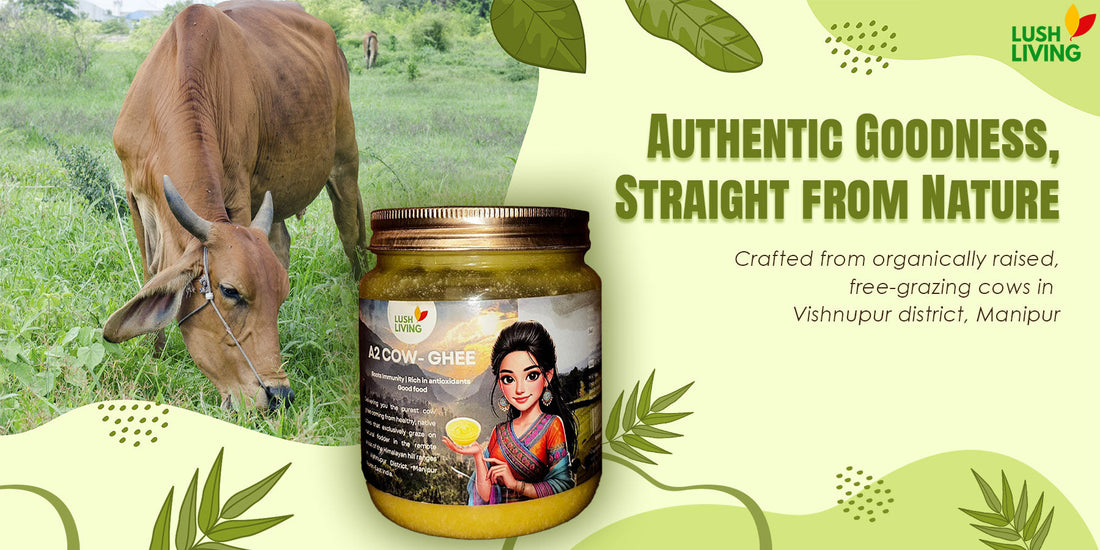 A2 Cow Ghee Benefits: Why Pure Desi Ghee is Liquid Gold for Your Health