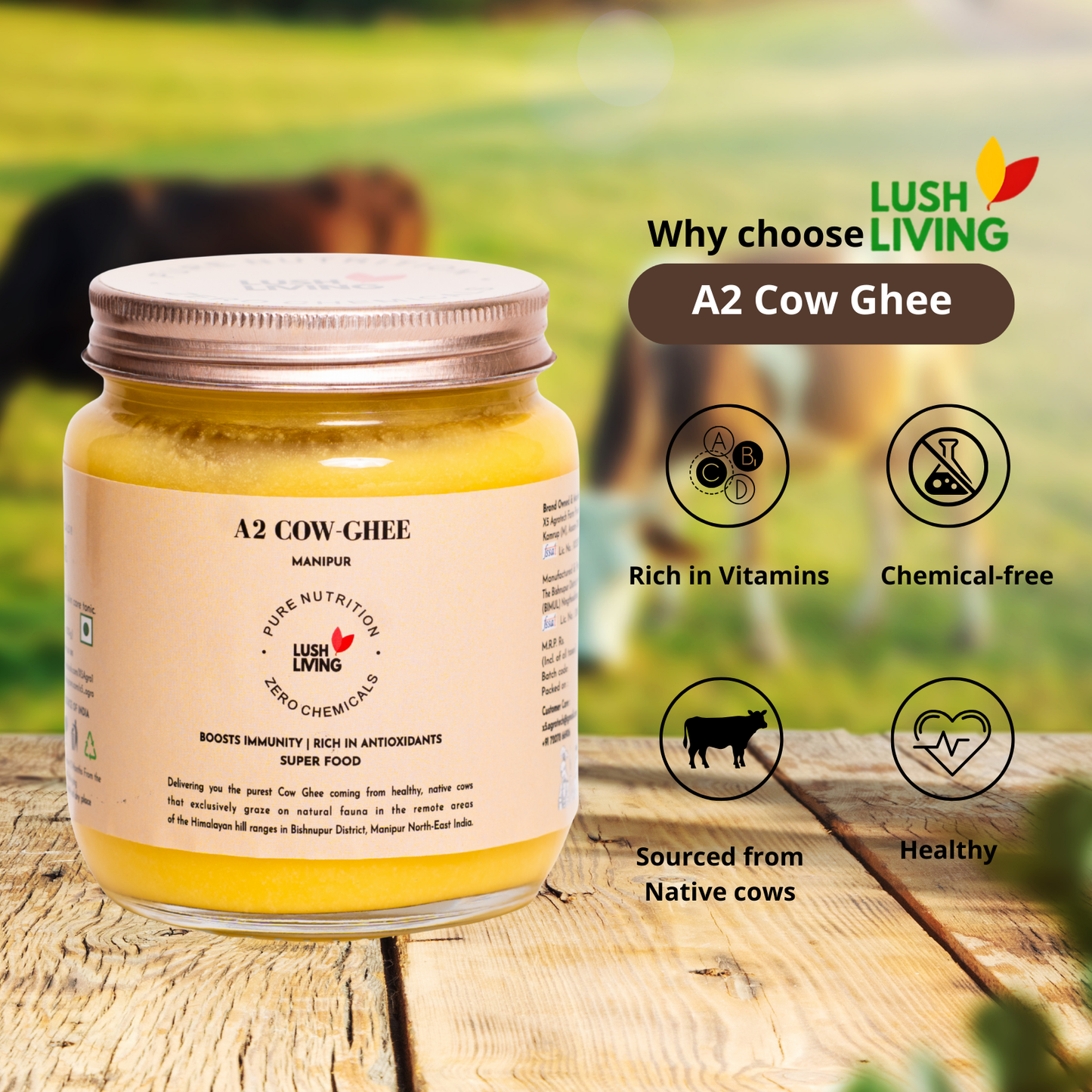 Cow Ghee 500ml (6)