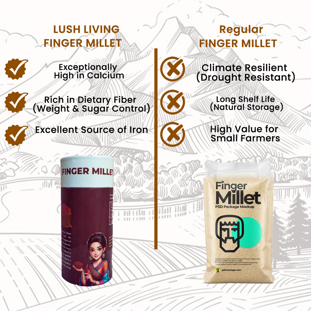 Finger Millet