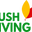 logo of Lush living | Buy Organic Food Products Online in India